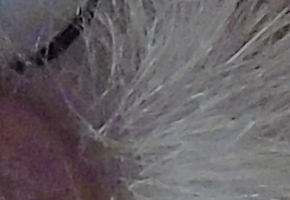 Sony Cyber-shot H400: nekonečný 63× zoom