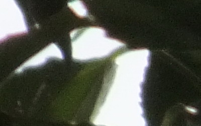 Fujifilm FinePix HS20EXR: důstojný nástupce