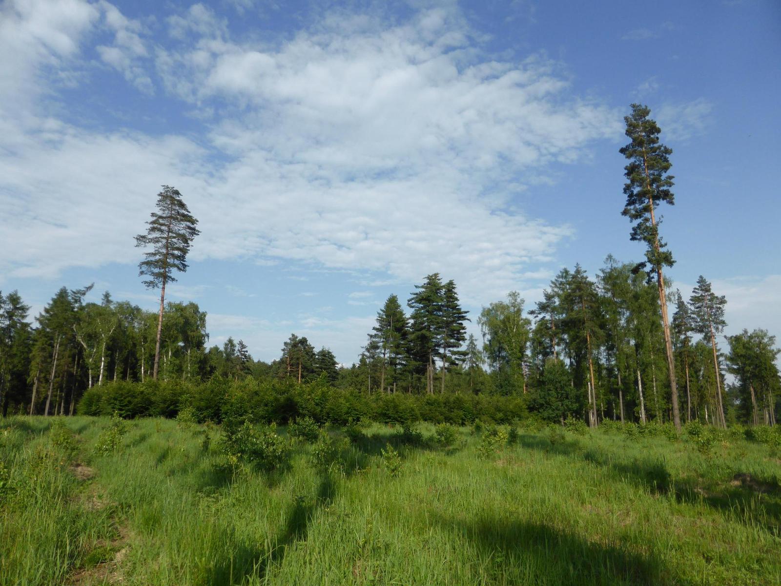 Panasonic Lumix TZ35 a TZ40: o čtyři více