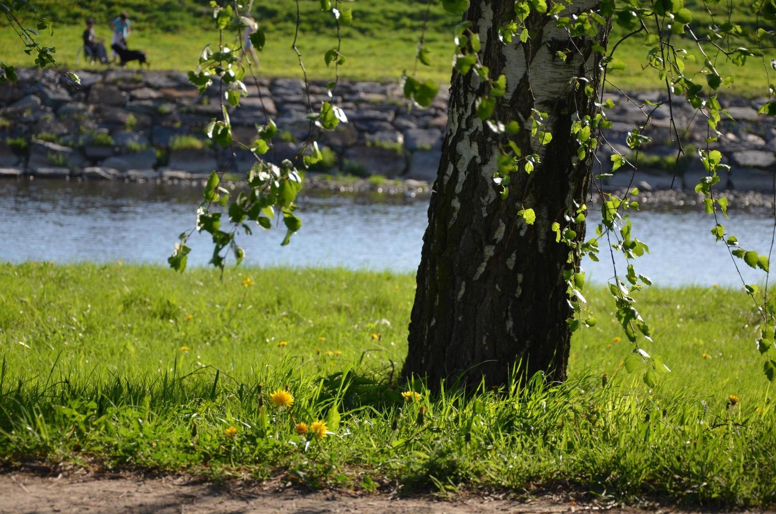 Nikon D5100: jeden z nejlepších?