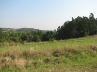 Canon PowerShot S2 IS: dvanáctinásobné oko Canonovo