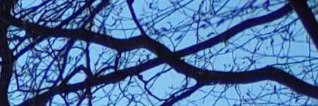 Olympus M.Zuiko Digital 25mm 1:1.8