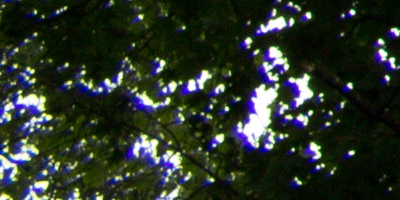 Canon EF-S 18-55mm F3,5-5,6 IS STM