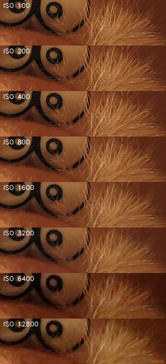 Canon PowerShot G1 X Mark II: významné zlepšení