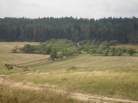 Sony Cyber-shot DSC-P200: Půlkruhová sedmička