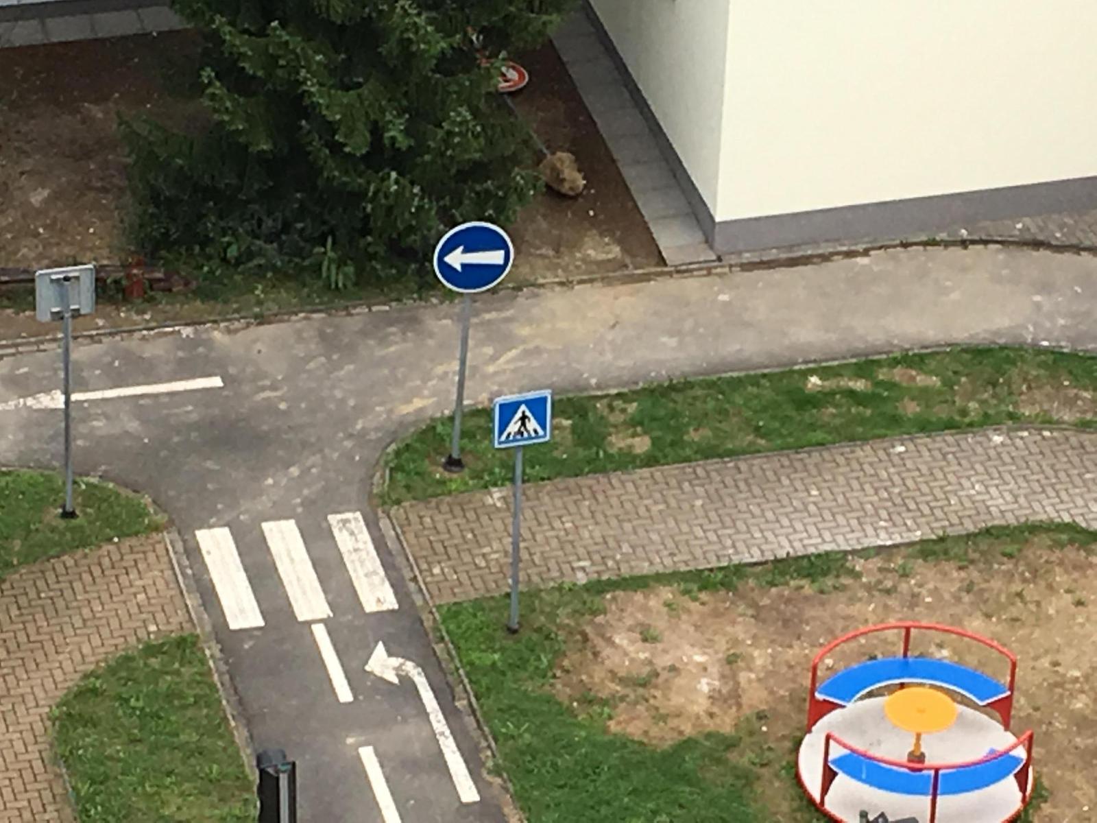 Apple iPhone SE: kompaktní silák