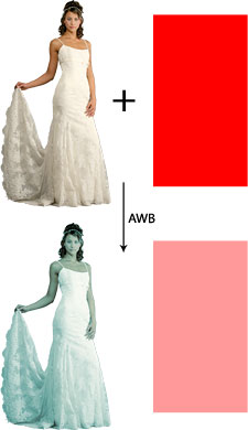 DSLR na cestě časem - 21. díl