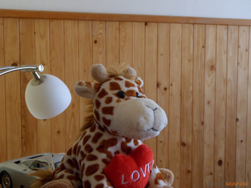 Samsung PL210: levně s grácií