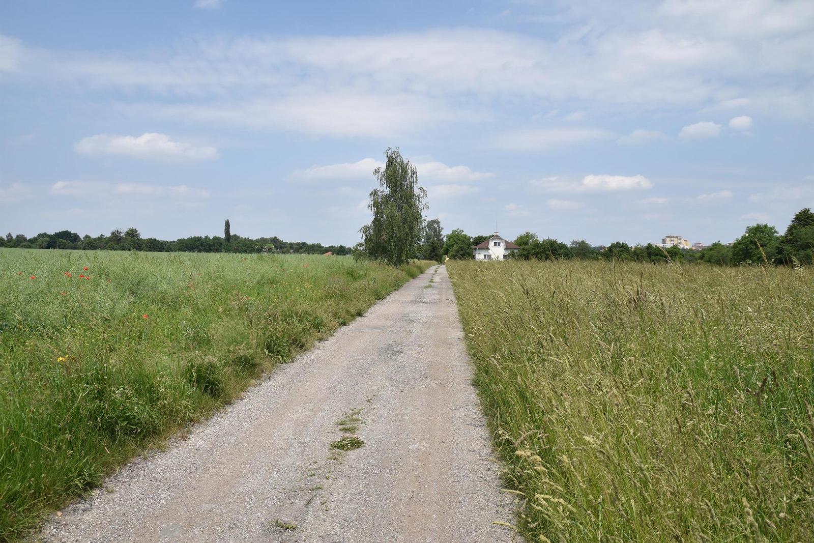 Tamron SP AF 17-50mm f/2.8 XR Di II VC LD Aspherical