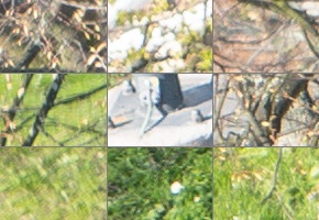 Panasonic Lumix S 24-105mm F4 Macro O.I.S.