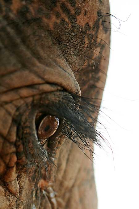 S fotoaparátem po Thajsku: I.