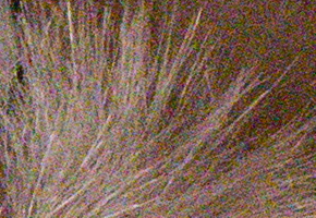 Sony NEX-6: pan dlouho očekávaný