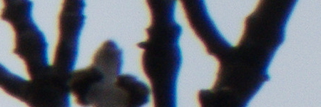 Panasonic Lumix TZ70: krůček k profi ultrazoomu