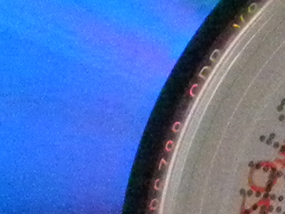 Nikon Coolpix P90: napodruhé mnohem lépe