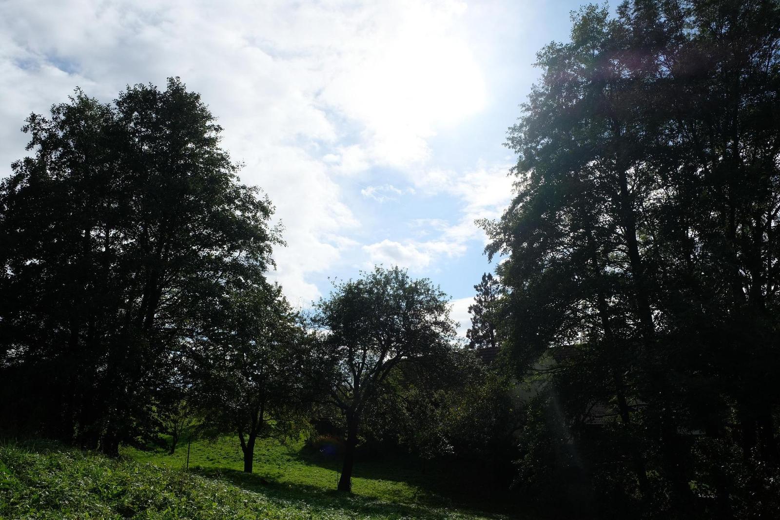 Fujifilm X-T20: zatraceně dobře fotící APS-C