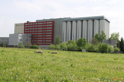 Canon EOS 1100D: vstup do světa DSLR