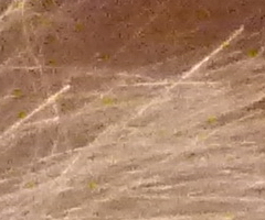 Panasonic Lumix FZ45 a FZ100: na vrcholu