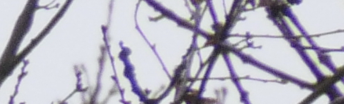 Panasonic Lumix FZ2000: ultrazoom nebo profi kamera?