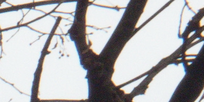 Samsung EX2F: významný krok vpřed