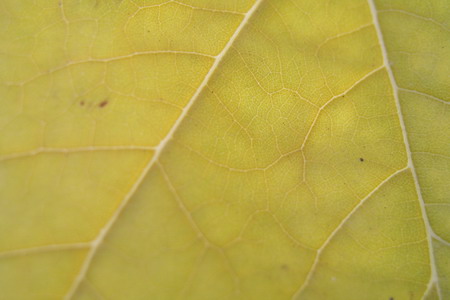 Světlo aneb nástroj každého fotografa - 4. díl