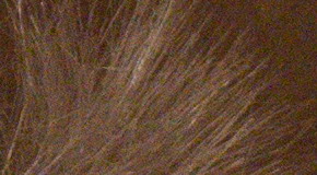 Nikon D3300: drobek se silným srdcem