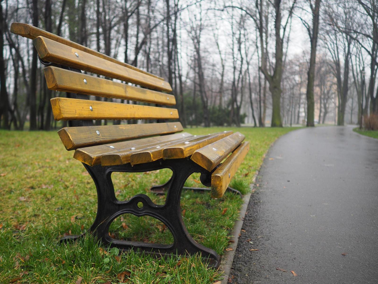 Olympus M.Zuiko Digital 17mm 1:1.8