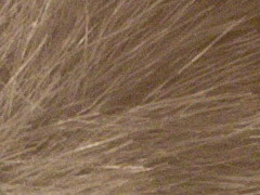 Nikon D3100: základ nabídky DSLR