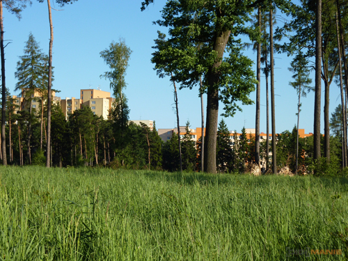 Panasonic Lumix TZ7: ultrazoom téměř bez chybičky