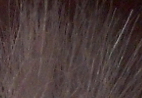 Genius G-Shot 510: vodník za pár korun