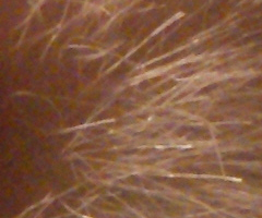 Sony Alpha A230: nejlevnější z nového trojlístku