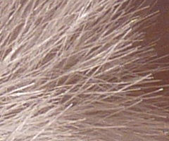 Panasonic Lumix TZ7: ultrazoom téměř bez chybičky