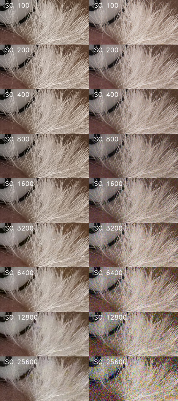 Panasonic Lumix G9: skutečně výborný