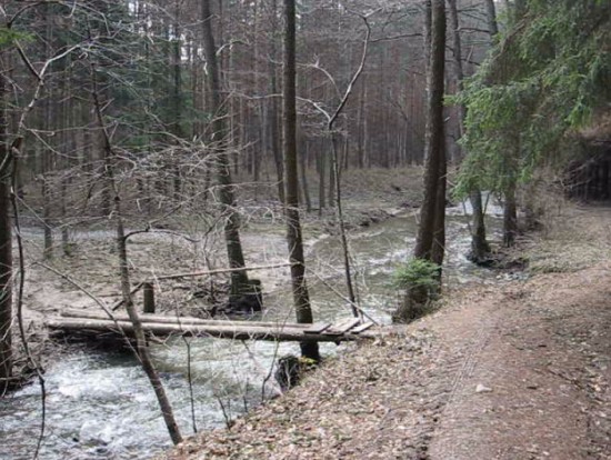 Canon PowerShot A530 - třetí z rodu