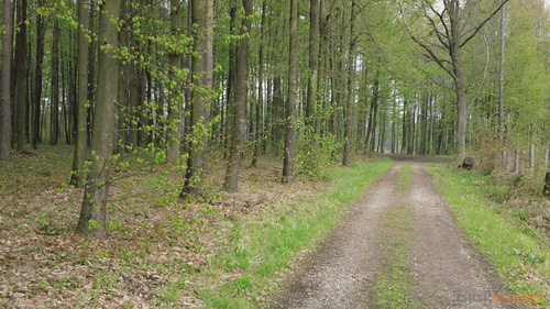 Sony Bloggie Touch: videokamera fotoaparátem?