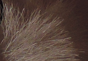 Nikon Coolpix P330: do vyšších sfér