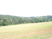 Sony Cyber-shot DSC-P200: Půlkruhová sedmička