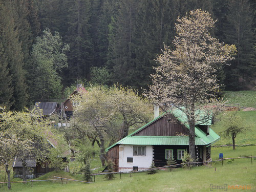 Olympus PEN E-PL2: PEN počtvrté a zase lépe