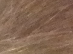 Nikon Coolpix P500: univerzální dalekohled