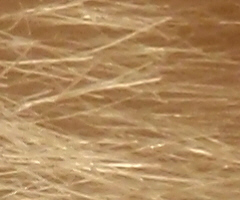 Olympus mju 9000: 10× ultrazoom v kompaktním balení