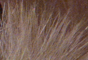 Samsung EX2F: významný krok vpřed