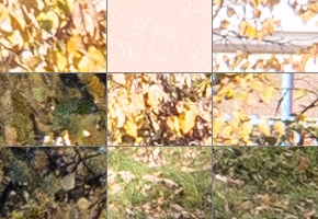 Panasonic Leica DG Vario-Summilux 25-50mm F1.7 ASPH.