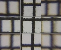 Megatest ultrazoomových objektivů