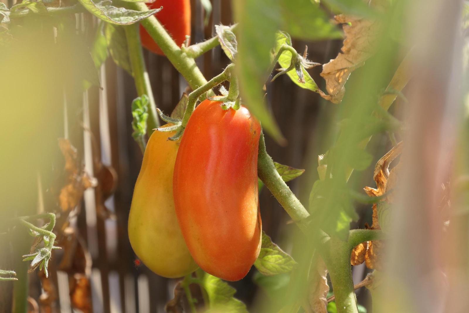 Panasonic Lumix TZ200: kamarád na cesty