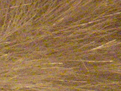 Olympus XZ-1: trefa do černého