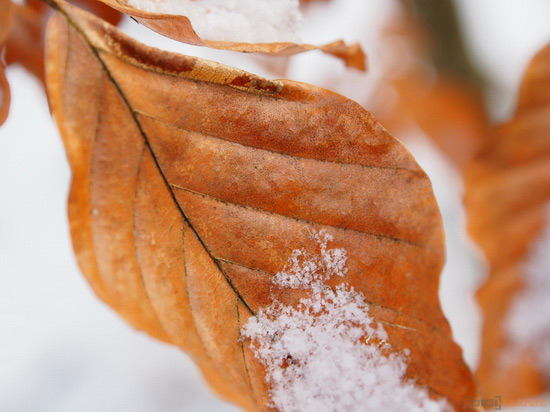 Olympus OM-D E-M5: elegantní fotokladivo