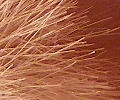 Pentax X70: neobyčejně univerzální kliďas