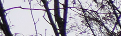 Panasonic Lumix FZ2000: ultrazoom nebo profi kamera?