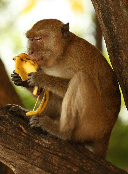 Jak je to s crop faktorem objektivu – 1.díl