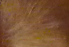 Panasonic Lumix FZ72: nejširší i nejdelší