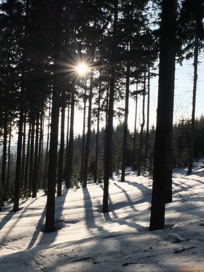 Fujifilm X-S1: jedinečný